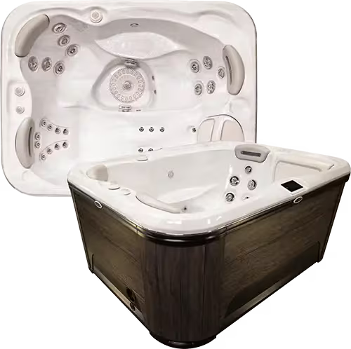 Hydropool Self-Cleaning™ 379 Gold