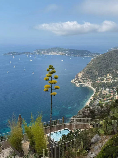 Ecstatic Mighty Wave