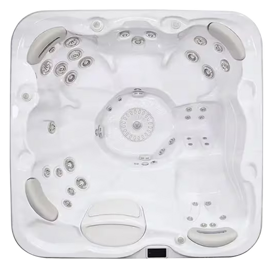Hydropool Self-Cleaning™ 655 Platinum