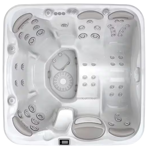 Hydropool Self-Cleaning™ 799 Platinum